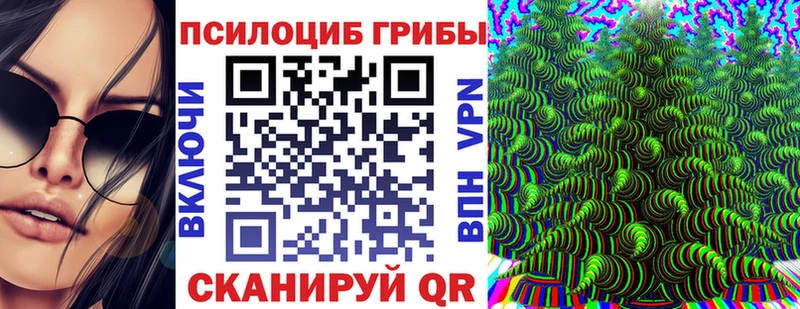 где можно купить наркотик  Уварово  Галлюциногенные грибы прущие грибы 