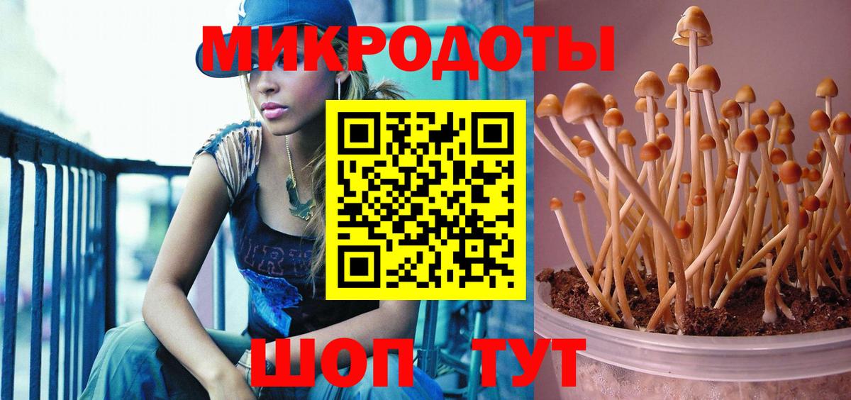 Уварово  Галлюциногенные грибы MAGIC MUSHROOMS  Псилоцибиновые грибы ЛСД  Вход с VPN 