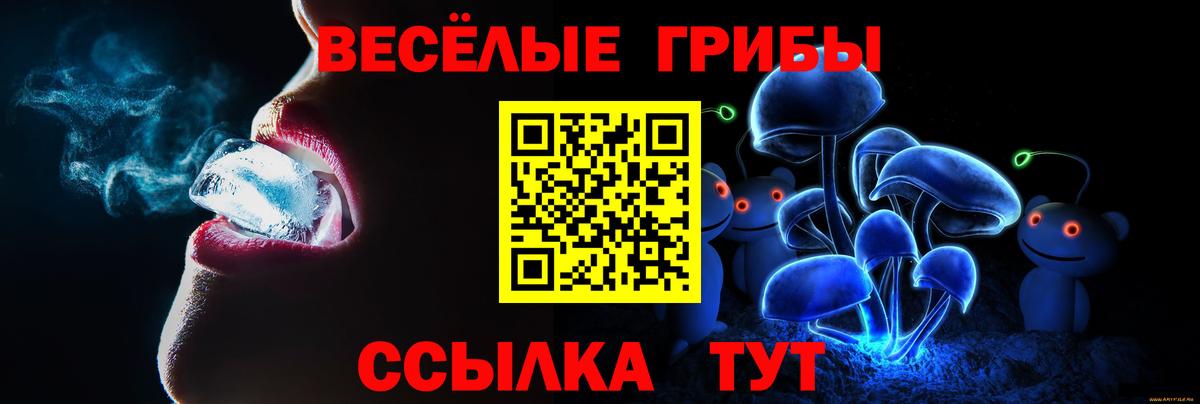 Галлюциногенные грибы Psilocybine cubensis Уварово